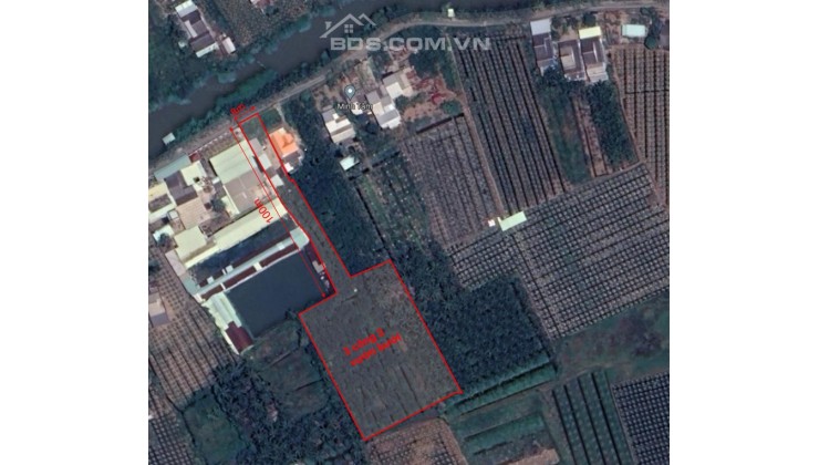 (GÁP) Bán vườn bưởi 4000m2 tại Long Bình Điền Chợ Gạo đường xe tải 3,5 tấn Chỉ 3,6 Tỷ
